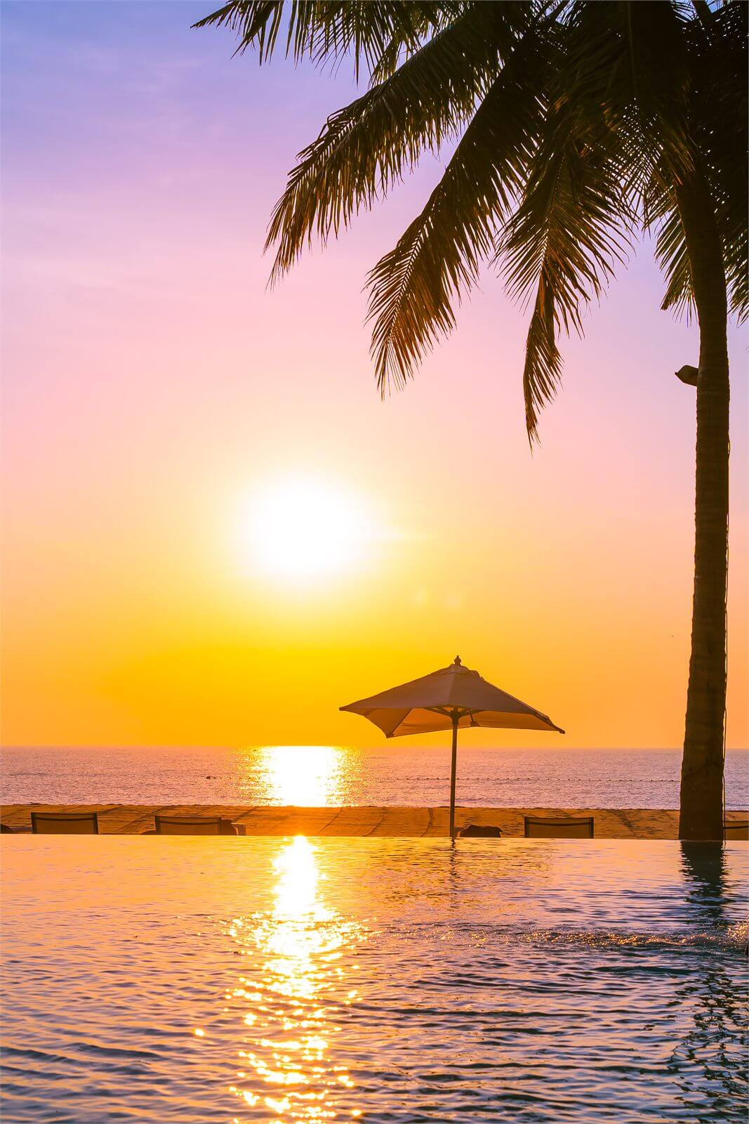 Palm trees and sunset beside the sea in summer