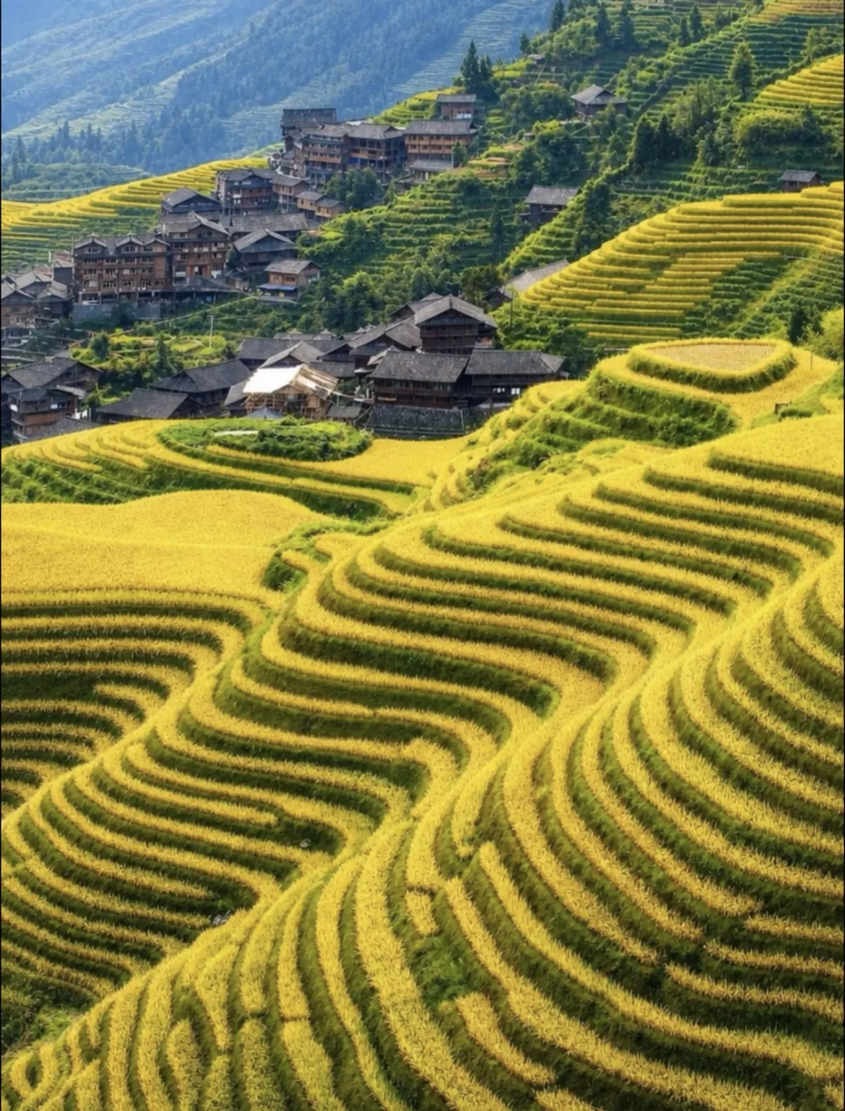 Yulong River · Fuli Bridge · Longji Rice Terraces
