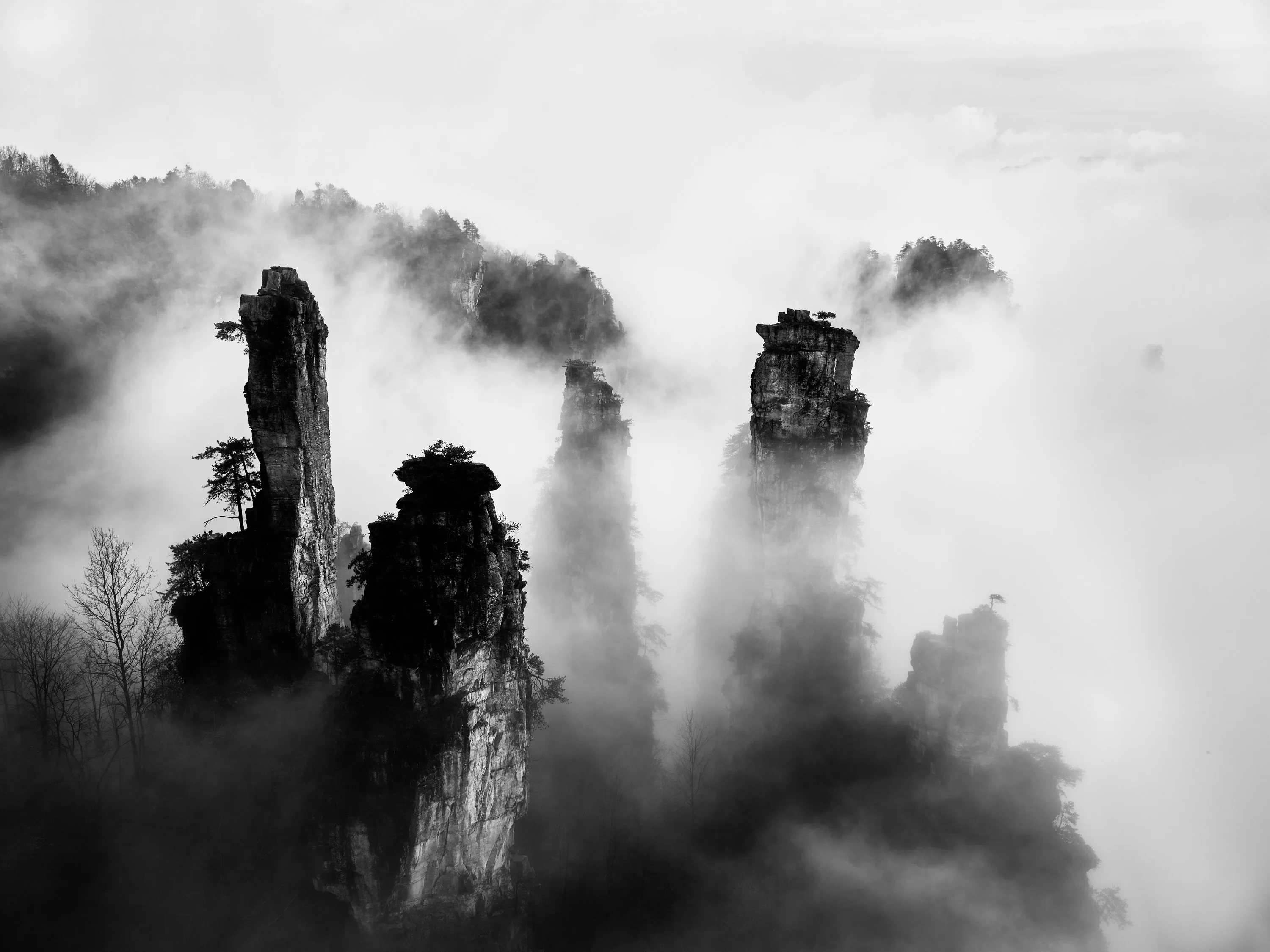 Top Attractions