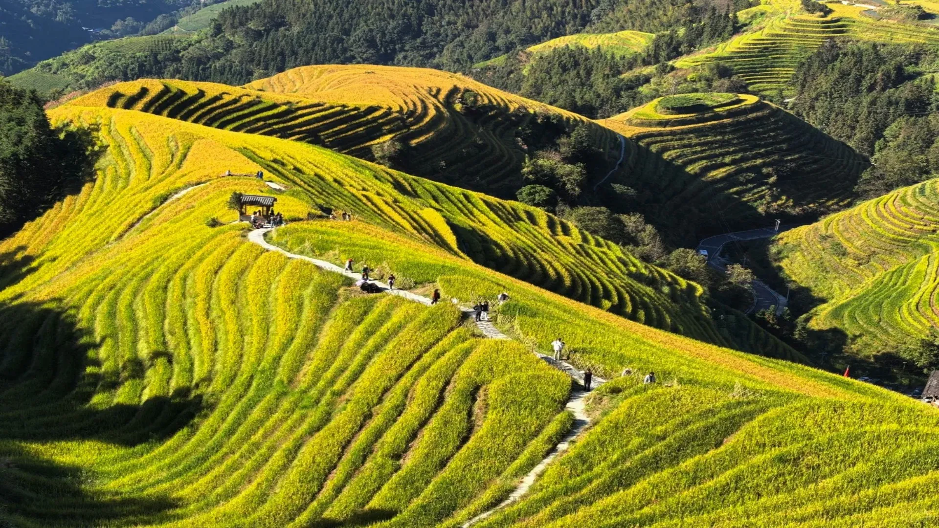 Longji Rice Terraces