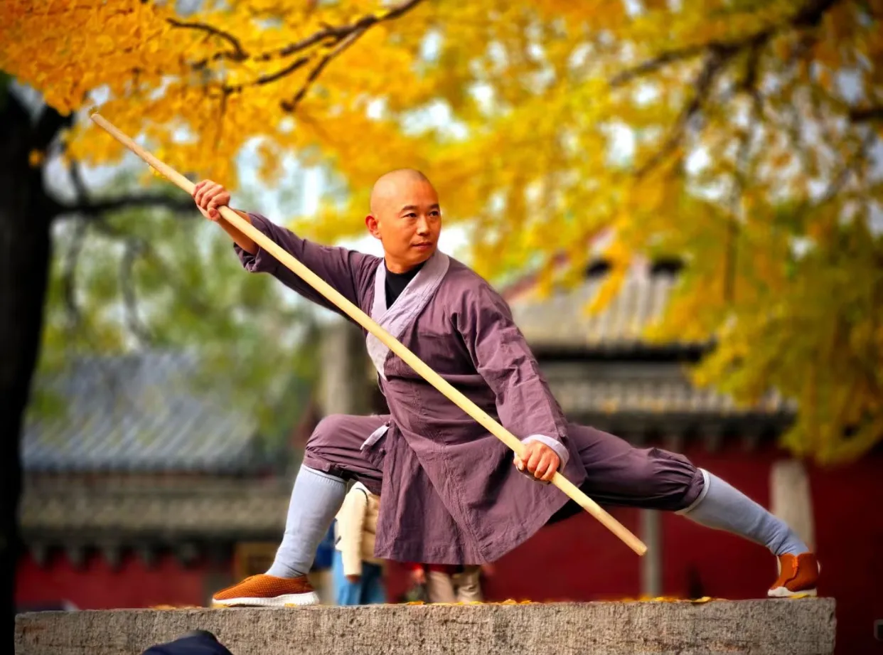 Shaolin Kung Fu · The Origins of Zen