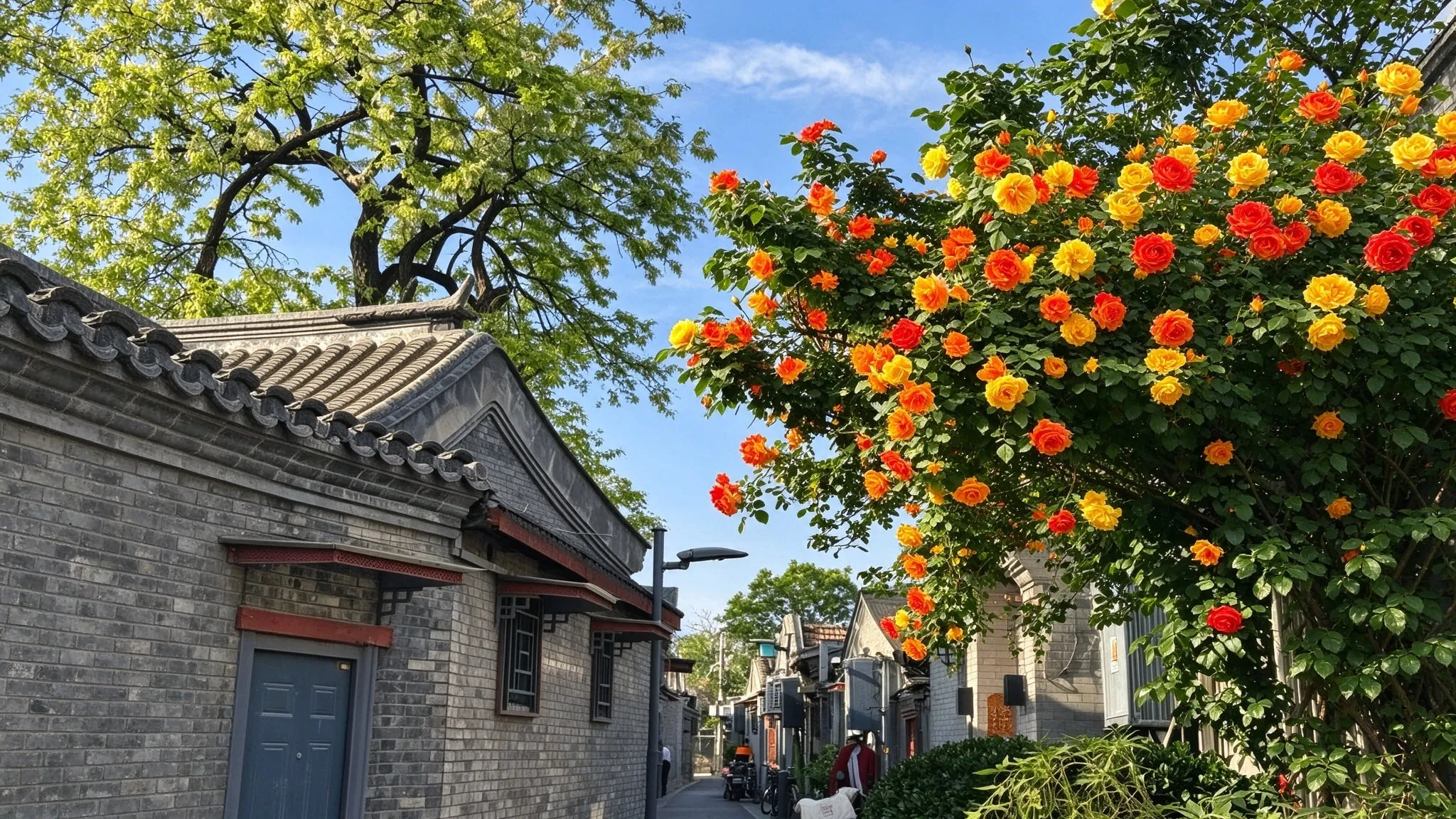 Beijing Hutongs