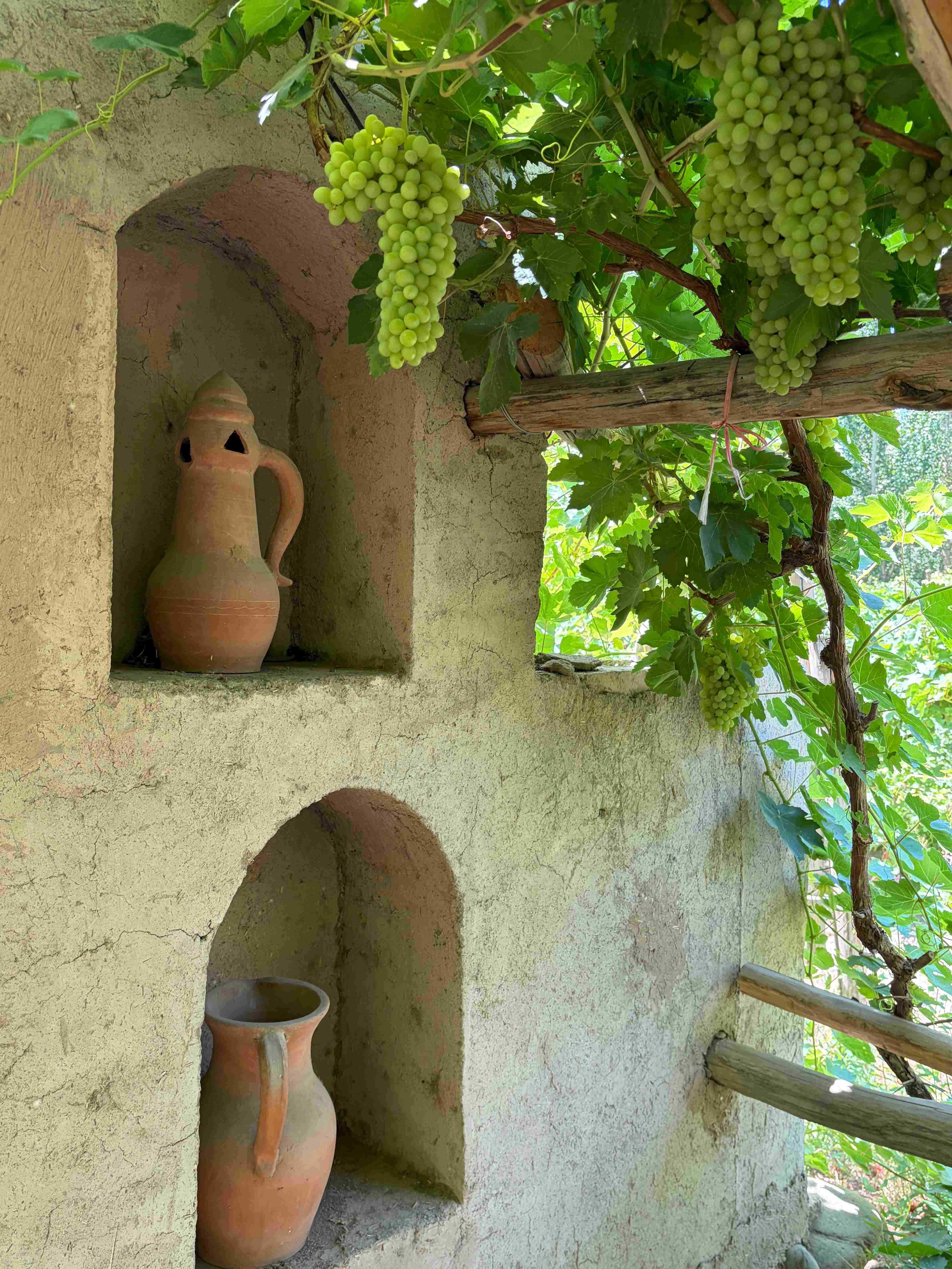 Turpan · Flaming Mountains · Vineyards