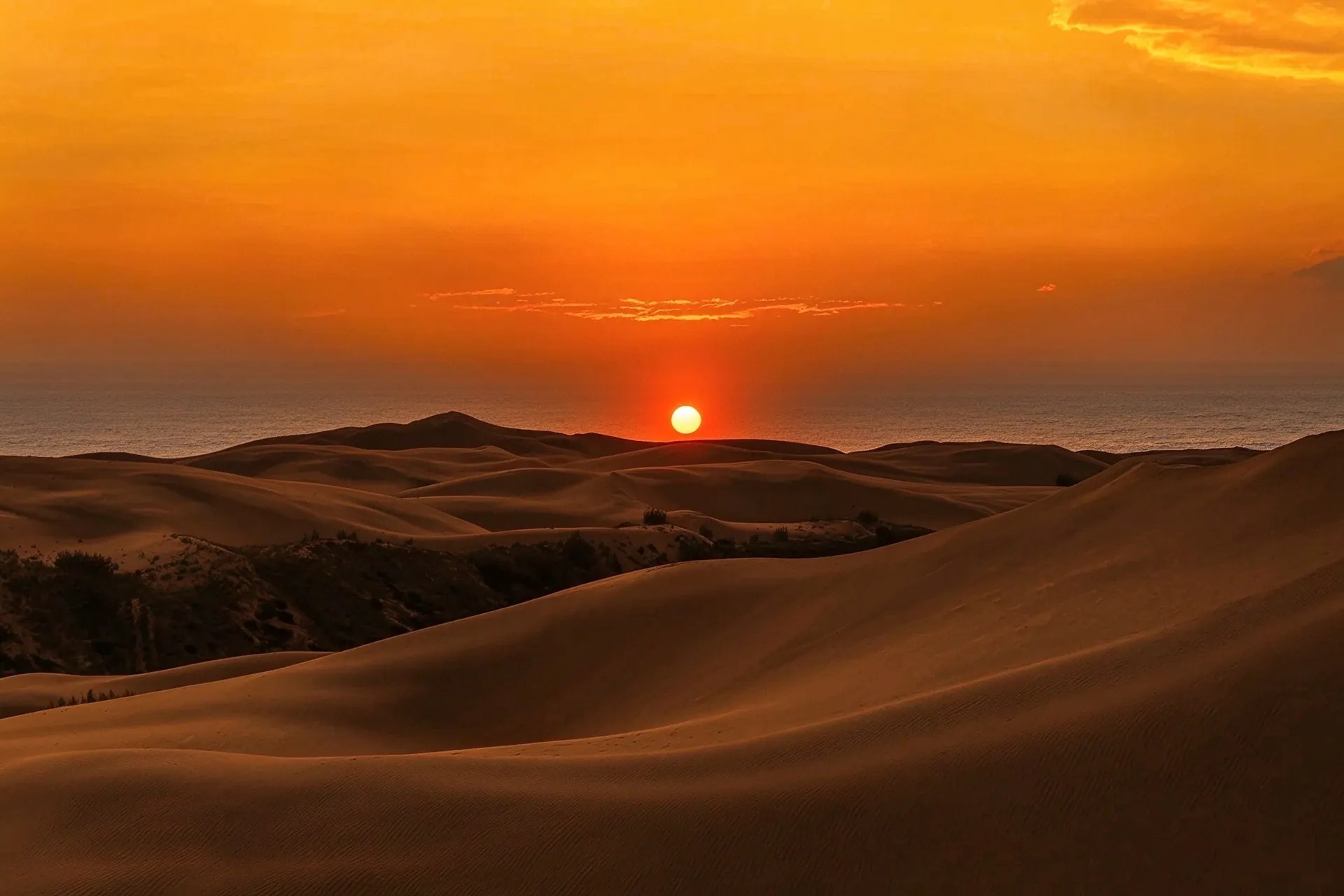 Xinjiang is where vast horizons and diverse cultures tell stories of connection between East and West.